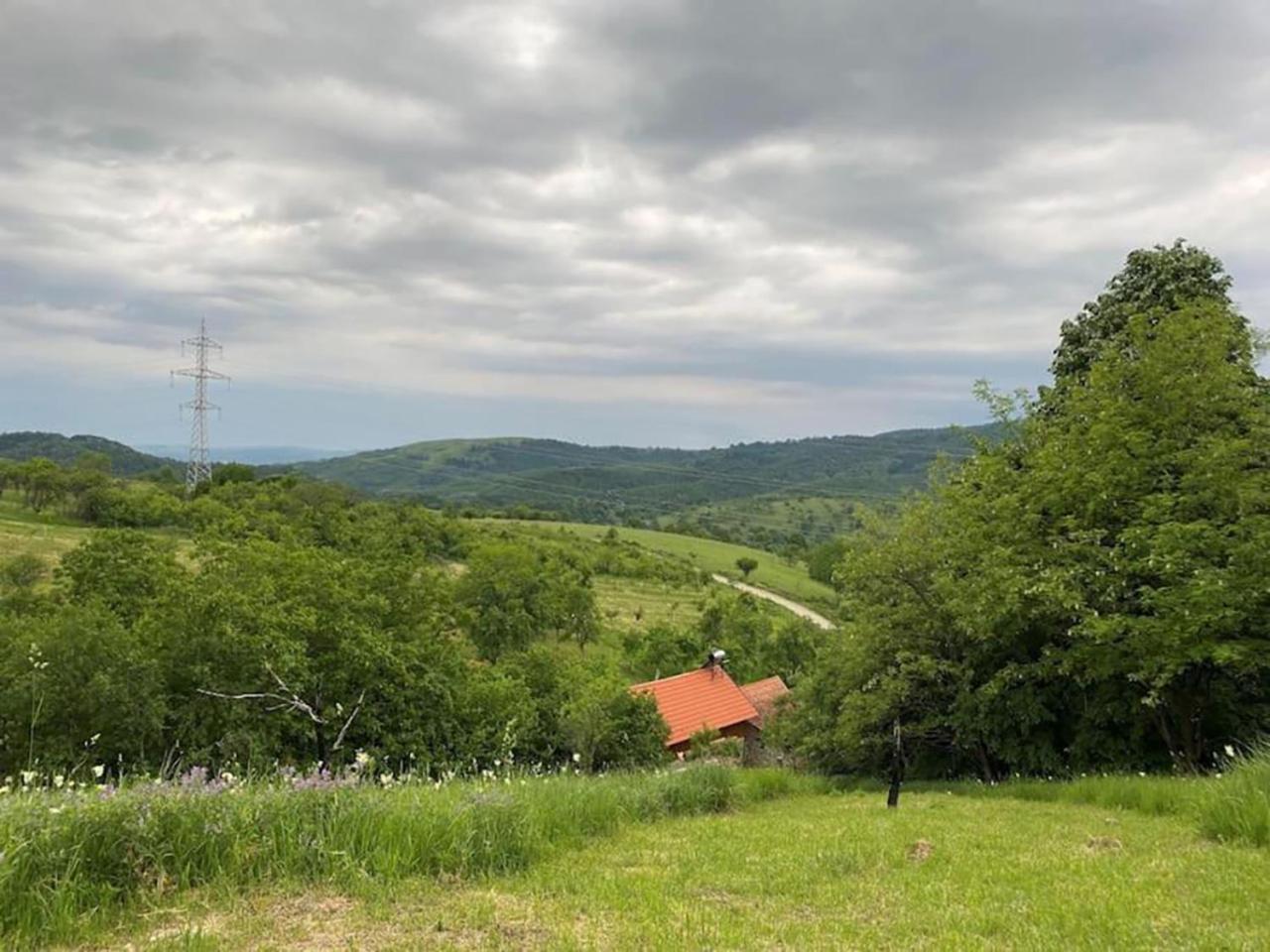 Salas U Bregu In Cheile Carasului Crasova 외부 사진